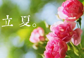 立夏開什么花？立夏有什么花？