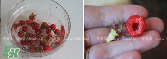 樹莓有毒嗎？樹莓有刺嗎？