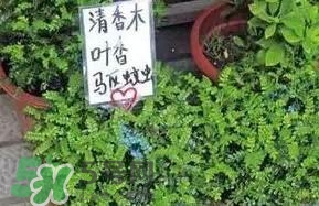 寶寶驅(qū)蚊產(chǎn)品哪個(gè)好？寶寶驅(qū)蚊用什么好？