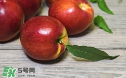 油桃什么時(shí)候成熟？油桃什么季節(jié)成熟