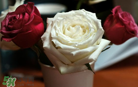 母親節(jié)可以送玫瑰花嗎？母親節(jié)送幾朵玫瑰花好？