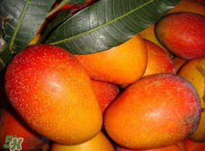 甜瓜和芒果可以一起吃嗎？甜瓜和芒果一起吃好嗎？