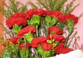 母親節(jié)要不要給男朋友媽媽買禮物？母親節(jié)送男友媽媽禮物