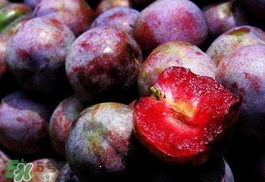 三華李怎么種植？三華李種植技術