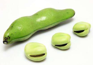 青蠶豆有毒嗎？青蠶豆的功效與作用