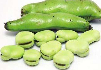 青蠶豆小孩能吃嗎？青蠶豆皮能吃嗎