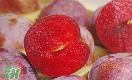 三華李多少錢(qián)一斤？三華李價(jià)格