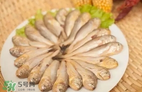 黃唇魚是黃花魚嗎？黃唇魚是黃魚嗎？