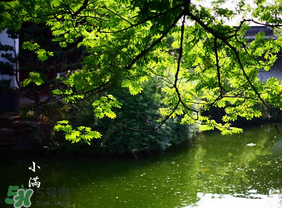 2017年小滿會(huì)下雨嗎？2017年小滿下雨好嗎？
