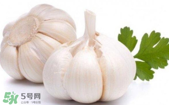 蒜頭怎么腌制好吃？腌制咸蒜的正確方法