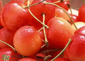 ?端午節(jié)還有櫻桃嗎？端午節(jié)可以摘櫻桃嗎？