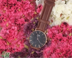 dw手表和卡西歐哪個(gè)好？dw手表和卡西歐手表哪個(gè)檔次高？