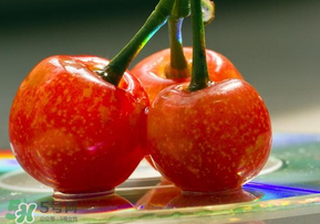 ?端午節(jié)還有櫻桃嗎？端午節(jié)可以摘櫻桃嗎？