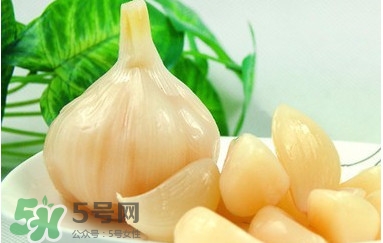 如何腌大蒜頭？腌咸蒜頭的做法