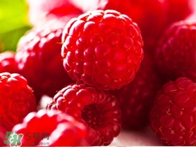 懷孕可以吃樹莓嗎？樹莓孕婦可以吃嗎？