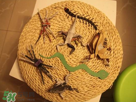 端午節(jié)五毒是什么？端午節(jié)為什么要避五毒？