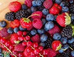 來月經(jīng)可以吃樹莓嗎？月經(jīng)期間吃樹莓好嗎？