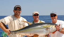 黃唇魚可以養(yǎng)殖嗎？黃唇魚能養(yǎng)殖嗎？