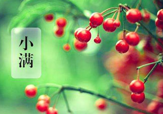 小滿是什么節(jié)氣？小滿是第幾個節(jié)氣？