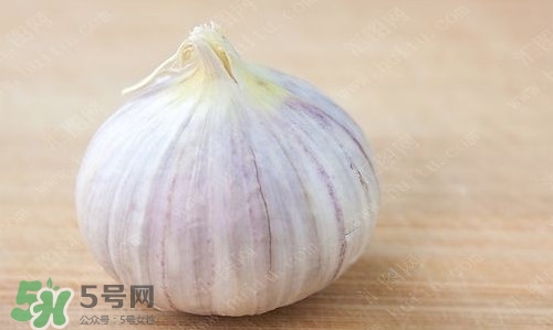 新鮮蒜頭怎么保存？蒜頭怎么保存不發(fā)芽