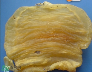 黃唇魚鰾一斤多少錢？黃唇魚鰾的藥用價值