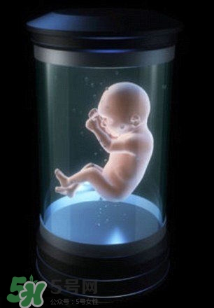 人造子宮能生孩子嗎？人造子宮成功案例