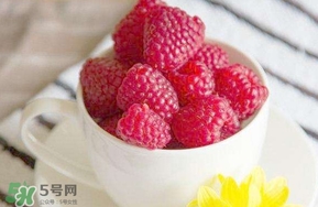 覆盆子是什么？覆盆子是樹莓嗎