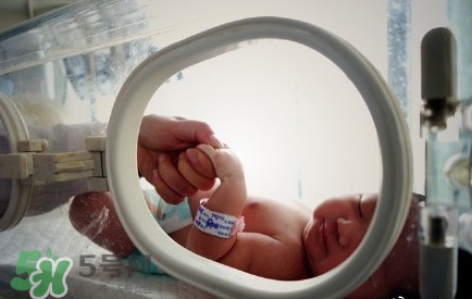 人造子宮能生孩子嗎？人造子宮初現(xiàn)曙光