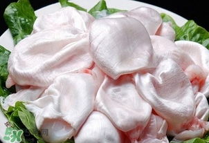 黃唇魚鰾是魚肚嗎？黃唇魚鰾是魚泡嗎