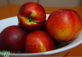 油桃是熱性還是涼性？油桃是寒性水果嗎？