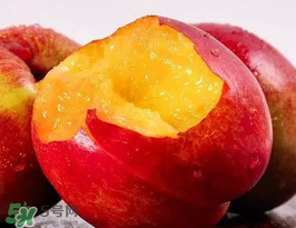 油桃是熱性還是涼性？油桃是寒性水果嗎？