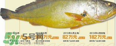 孕婦能吃金錢鱉嗎？懷孕期間能不能吃金錢鱉？