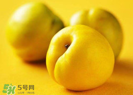 油桃和芒果可以一起吃嗎？芒果和油桃能一起吃嗎？