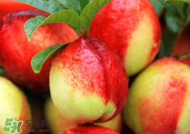 油桃和芒果可以一起吃嗎？芒果和油桃能一起吃嗎？