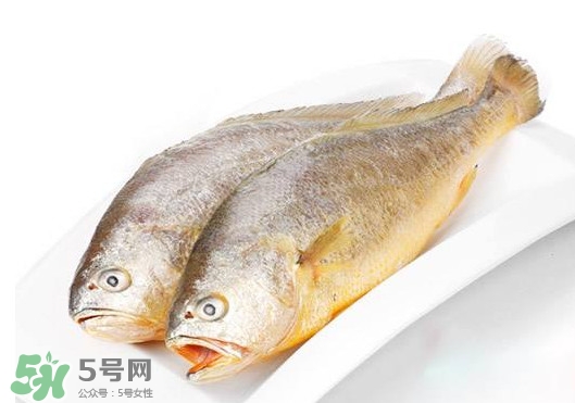 黃唇魚(yú)是不是黃花魚(yú)？黃唇魚(yú)和黃花魚(yú)的區(qū)別
