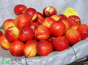 油桃怎么洗？油桃怎么洗干凈？