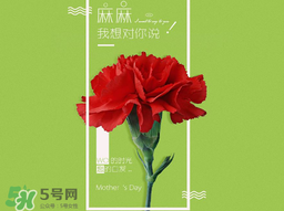 2017年母親節(jié)會打折嗎？2017年母親節(jié)有什么優(yōu)惠活動？