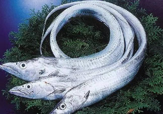 三文魚多少錢一斤2017？新鮮三文魚多少錢一條2017？