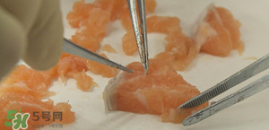 三文魚有刺嗎？三文魚的刺怎么處理