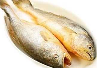 黃花魚多少錢一斤？野生黃花魚多少錢一斤