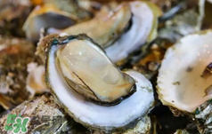 丹麥生蠔能吃嗎？生蠔的吃法大全集
