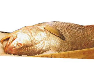 黃唇魚是不是黃花魚？黃唇魚和黃花魚的區(qū)別