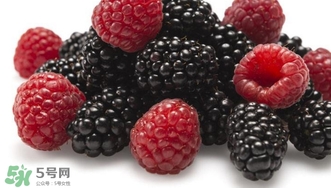 覆盆子是什么？覆盆子是樹莓嗎