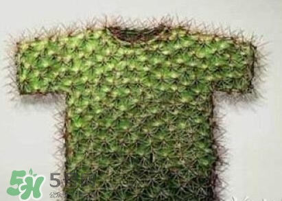 貞操褲怎么上廁所？貞操褲圖片