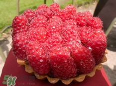 覆盆子和樹莓的區(qū)別 覆盆子與樹莓的區(qū)別 覆盆子和樹莓的區(qū)別 覆盆子與樹莓的區(qū)別