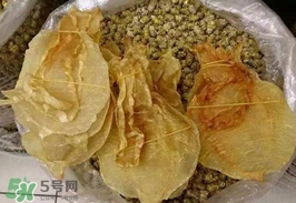 金錢鳘值多少錢？金錢鳘魚膠功效