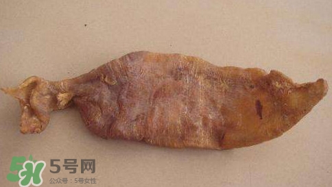 黃唇魚魚鰾是什么？魚鰾是魚的哪個部位