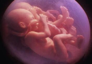 胎兒在媽媽肚子里都會(huì)干啥？胎兒的神奇世界