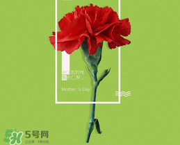 母親節(jié)送什么禮物給老婆？2017年母親節(jié)送老婆禮物推薦