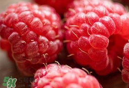 山莓有毒嗎？山莓和蛇莓的區(qū)別